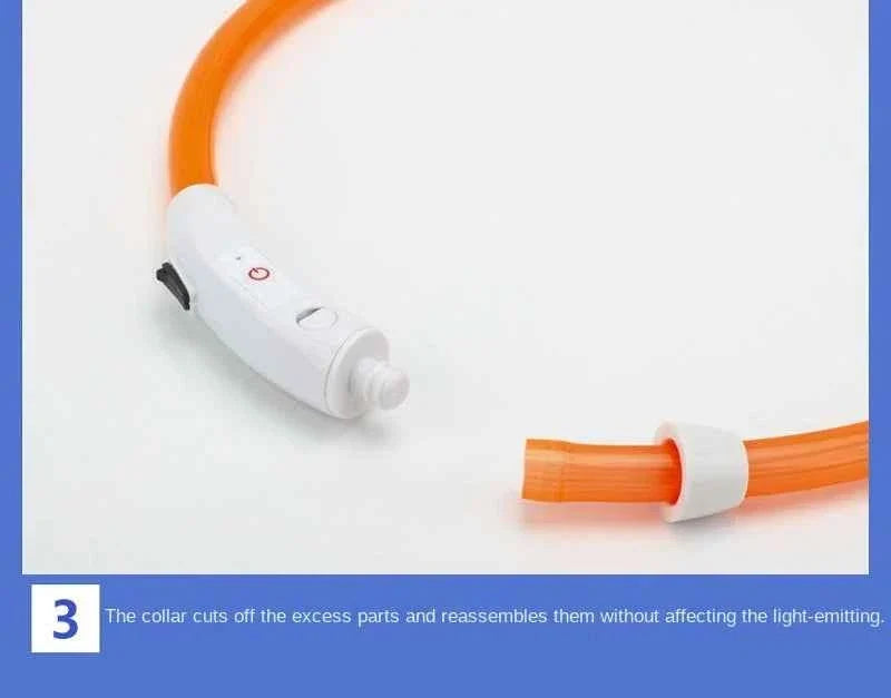 LED Pet Dog Collar for Night Safety | Bright USB Rechargeable