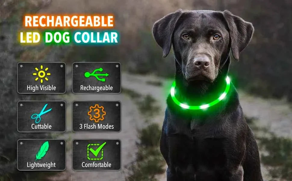 LED Pet Dog Collar for Night Safety | Bright USB Rechargeable