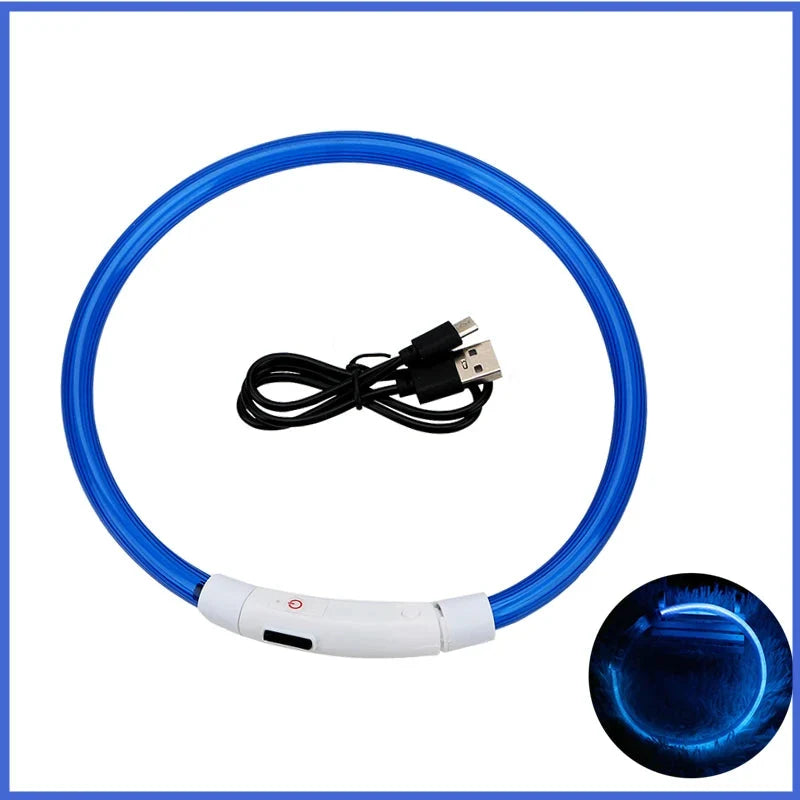 LED Pet Dog Collar for Night Safety | Bright USB Rechargeable