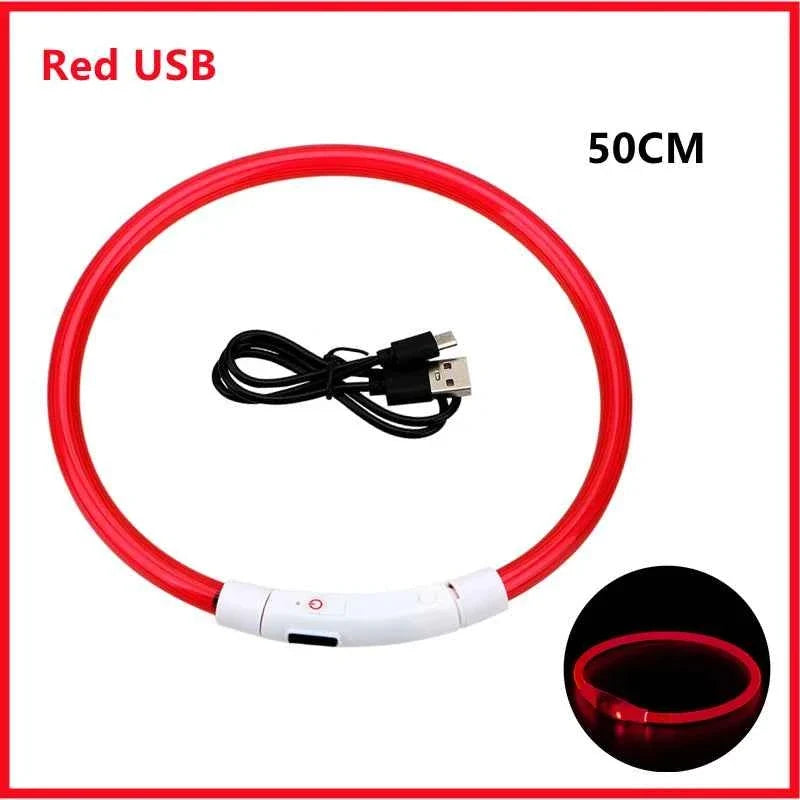 LED Pet Dog Collar for Night Safety | Bright USB Rechargeable