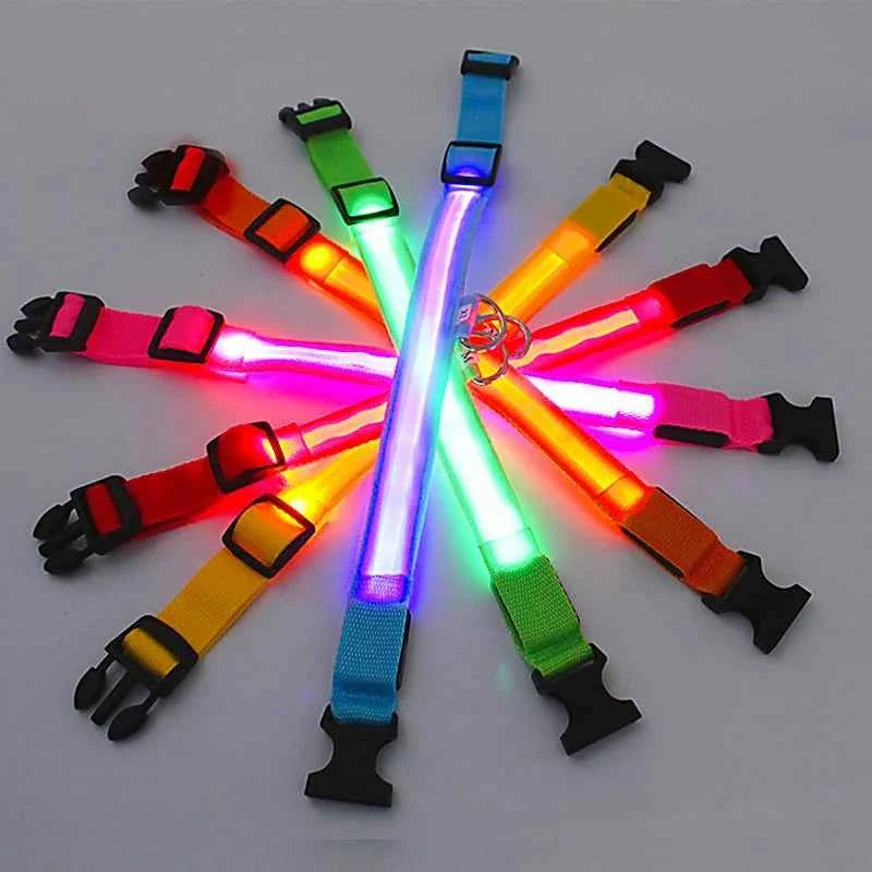 LED Pet Dog Collar for Night Safety | Bright USB Rechargeable