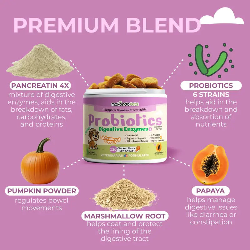 Dog Probiotics Digestive Enzymes | 120 Soft Chews