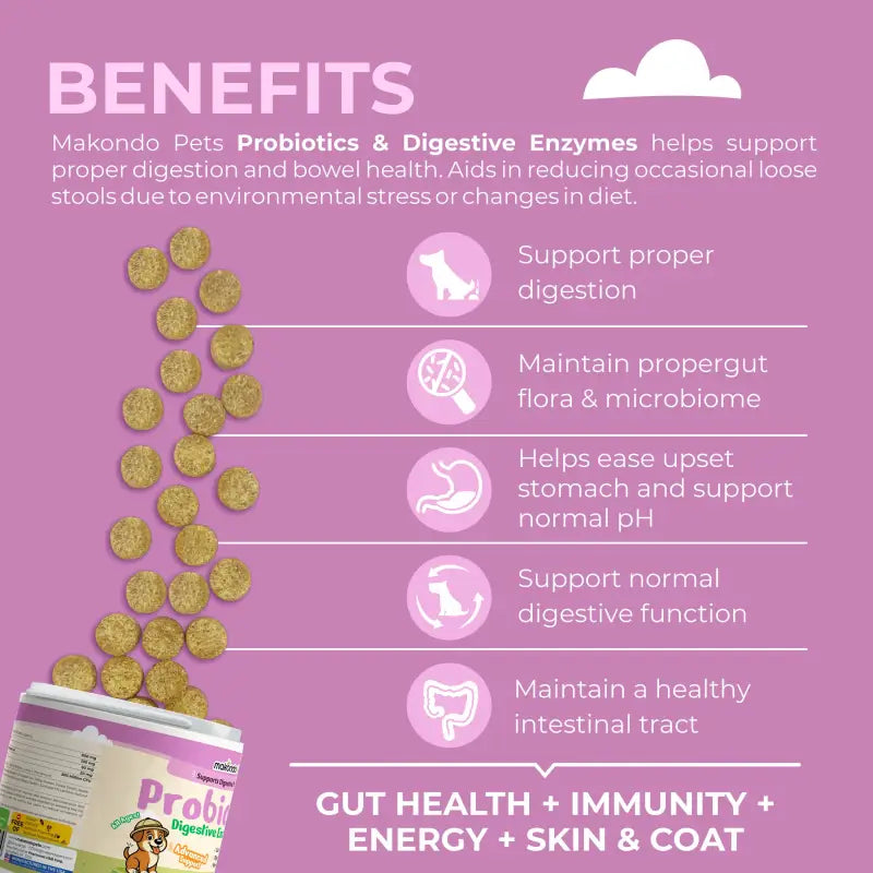 Dog Probiotics Digestive Enzymes | 120 Soft Chews