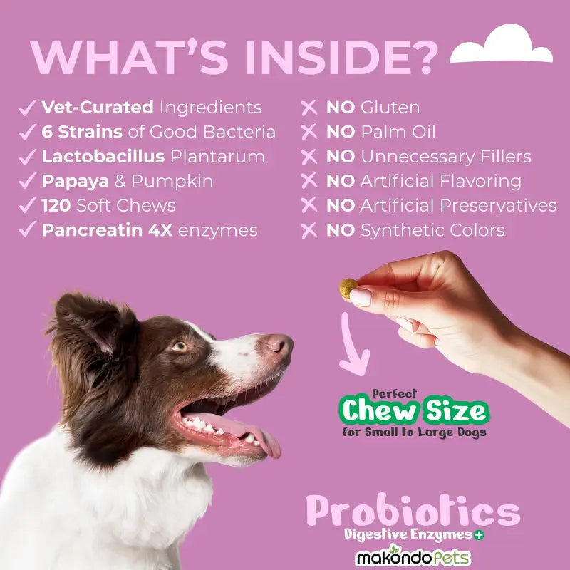 Dog Probiotics Digestive Enzymes | 120 Soft Chews