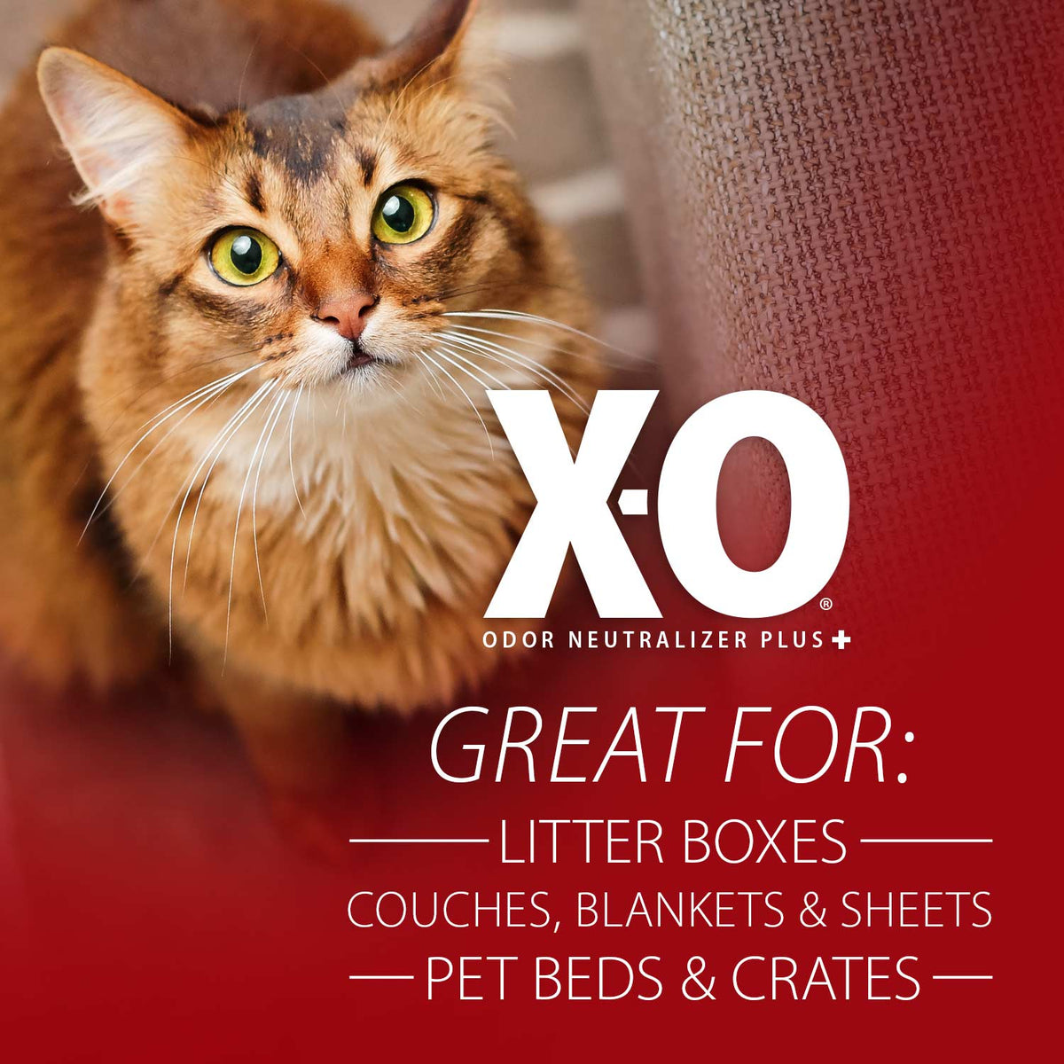 Jeffers X-O Pet Odor Neutralizer Plus + Cleaner Concentrate